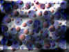 paintballz.jpg (445448 bytes)